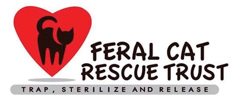 Feral Cat Rescue The Bugle Weekly Community Magazine Tabloid