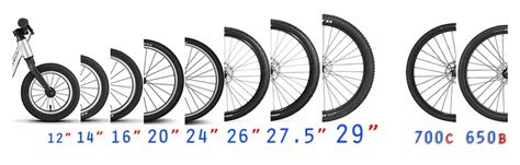 Bicycle Wheel Size Guide 12 To 29