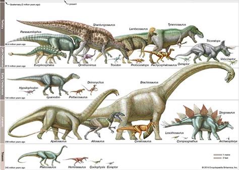 Dinosaurs In Jurassic Park Were Not From Jurassic Period MY DINOSAURS