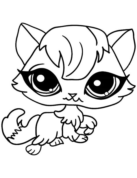 Big Eyed Female Cat For Pet Coloring Page Coloring Sky