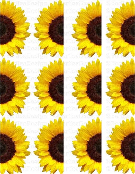 Half Sunflowers Large Waterslide Decal Tumbler Clip Art Etsy