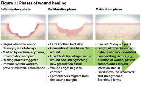 Diagnosis Of A Stages Of Wound Healing