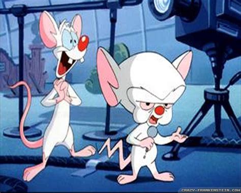 Pinky and brain are genetically enhanced laboratory mice who reside in a cage in the acme labs research facility. Pinky and The Brain wallpapers - Crazy Frankenstein