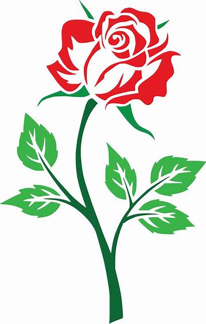 Rose Clipart Clip Flowers Flower Svg Colored