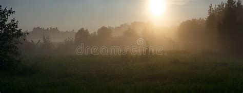 Night Sky With A Bright Moon Over A Meadow With A Fog Stock Image