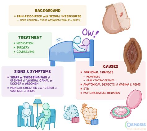 Dyspareunia What Is It Causes Signs Symptoms And More Osmosis