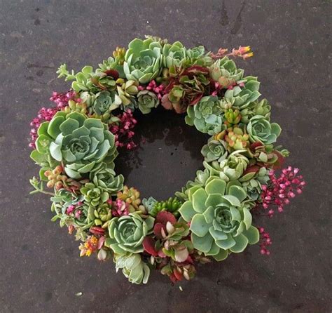 Succulent Wreath With Images Succulent Wreath Wreaths