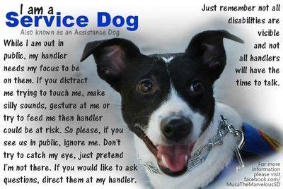 See more ideas about dog quotes, dog love, dogs. Educational Posters | Service dogs quotes, Service dogs, Service dog training