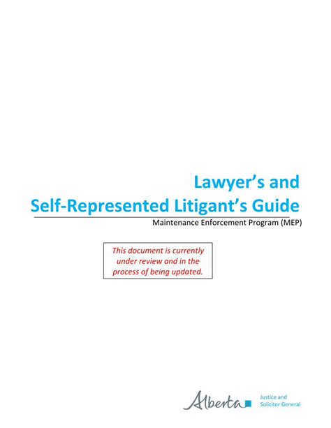 pdf lawyer s and self represented litigant s guide · lawyers and self represented litigants