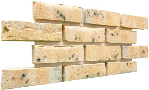 Brick Cladding System Insulated Flexible Rapid Real Brick Cladding