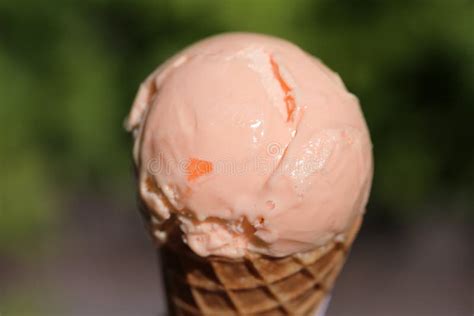 Fresh And Delicious Orange Ice Cream Ball On A Cone Stock Image Image