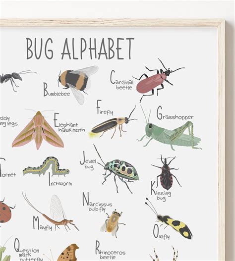 Bug Alphabet Print Pastel Colours Abc Poster Childrens Etsy Uk