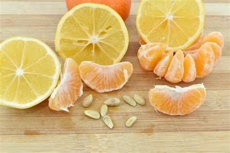Free Picture Lemon Mandarin Seed Slices Food Fresh Vitamin