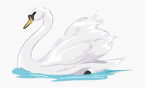 Cartoon Transparent Swan Free Transparent Clipart Clipartkey