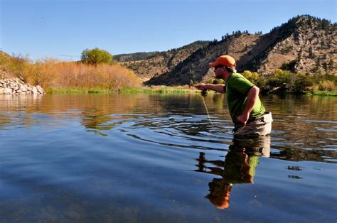 10 Tips For Dry Fly Fishing This Fall I Love Catching Fish