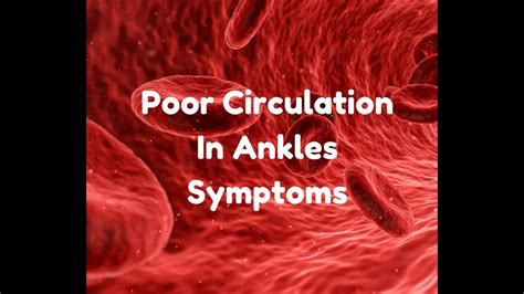 Poor Circulation In Ankles Symptoms Youtube