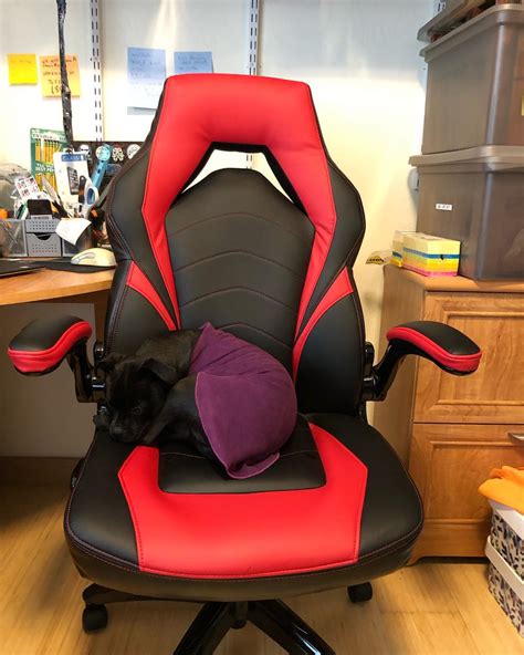 The chairs we've rounded up here (and most of the ones we researched) share a lot of similarities, like caster wheels and seat padding for. Top 6 Best Ergonomic Gaming Office Chairs Under 200