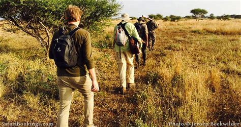 Kruger Park Activities Things To Do In Kruger National Park