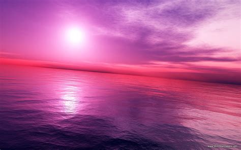 Pink Sunset Wallpaper 1440x900 27318