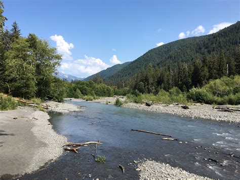 Hoh River Trail Washington Alltrails