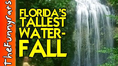 Floridas Tallest Waterfall Falling Waters State Park Chipley Fl