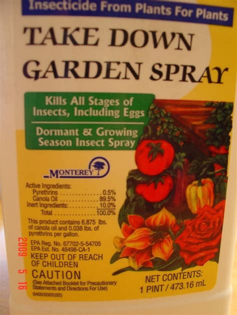 Best Fungus Gnats Remedy Take Down Garden Spray