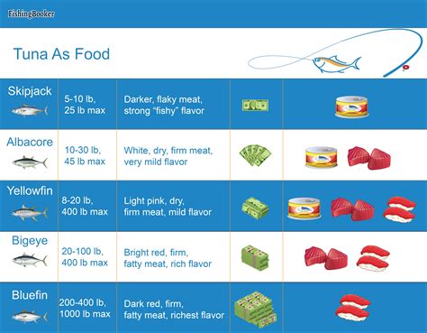 Types of Tuna Explained: Taste, Cost, and More