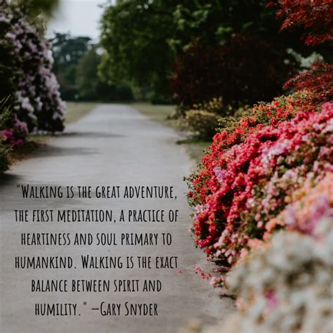 Motivational Quotes to Inspire You to Walk Regularly - Holidappy