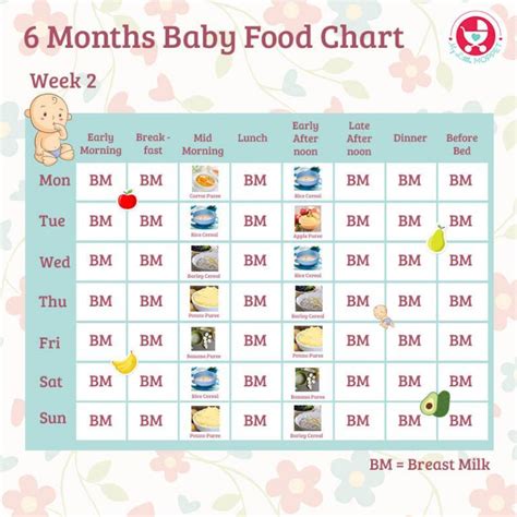 Pregnancy Diet Chart Month By Month Pdf