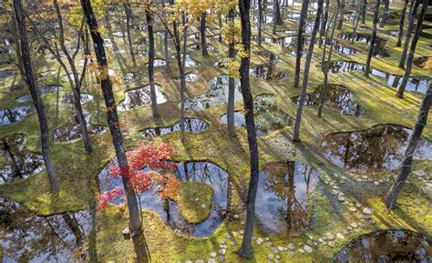Why use dechlorinated water for garden and filter install. Water Garden by Junya Ishigami | 2018-12-07 ...