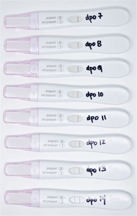 Days Past Ovulation And Negative Pregnancy Test