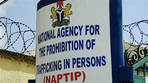 105 Victims Of Human Trafficking In Benin Rescued By Naptip Daily News 24