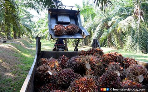 The logo of the malaysian palm oil board (mpob) resembles oil palm fronds, and an outline of an oil drop. Look to palm oil for electricity, says MPOB | Free ...