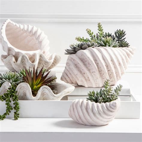 Brown clam (no reviews yet) write a review write a review. Conch Bowl | Pillow Talk | Clam shell, Sea shell decor ...