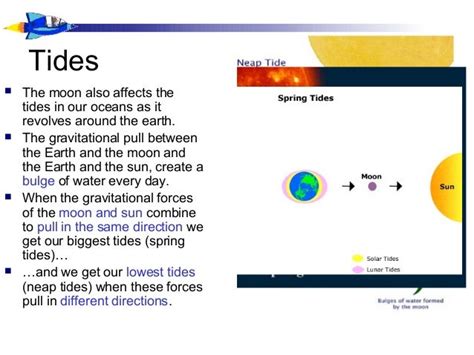 Lunar Cycle And Tides