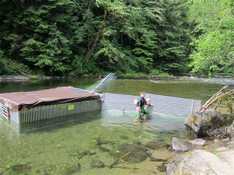 Oregon Fish And Wildlife Struggles To Preserve Sandy Rivers Wild