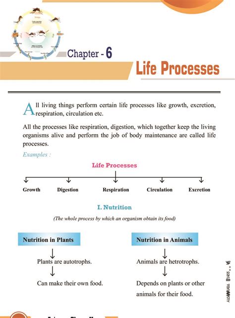 Class Biology Life Processes Worksheet