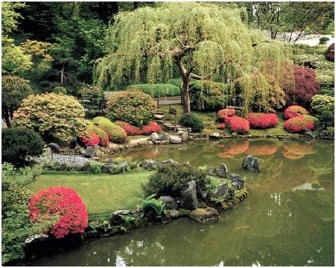 Check spelling or type a new query. Japanischer garten pflanzen | Japanischer garten ...