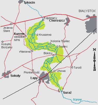 Parki narodowe w województwie podlaskim Narwiański Park Narodowy cz