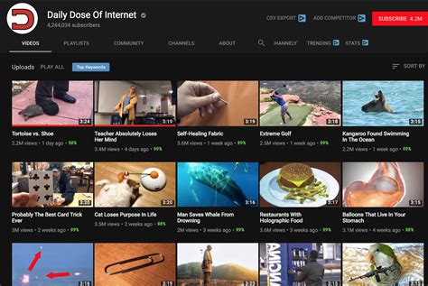Jason, better known online as daily dose of internet is a content creator uploading to youtube who lives in the united states of america. Isint Daily Dose Of Internet basically copyright ...