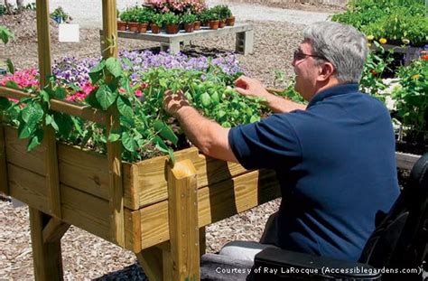 Gardening Tips For Seniors