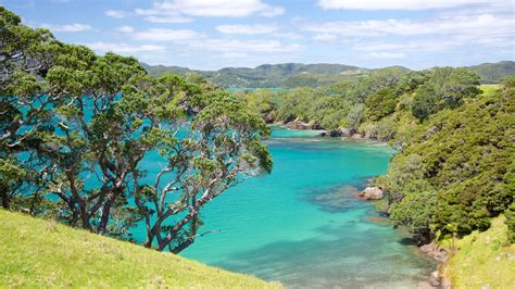 Bay Of Islands Nz Vacation Rentals House Rentals And More Vrbo