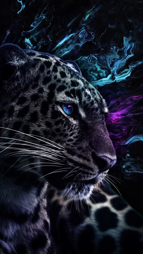Jaguar Predator Eyes Iphone Wallpapers
