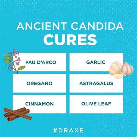 Coconut chocolate mousse recipe (with bone broth protein). Dr. Josh Axe, DC, DNM, CNS on Instagram: "Candida is a ...