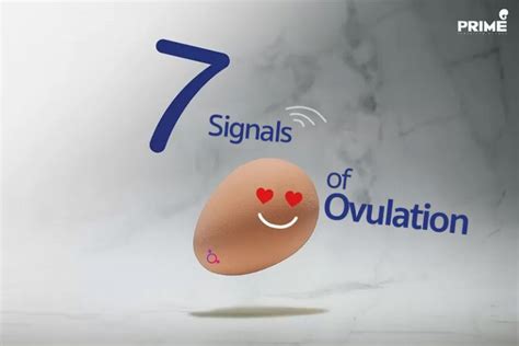 7 Signals Of Ovulation Prime Fertility Clinic Dr Poonkiat Ivficsi