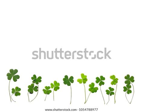 Falling Clovers Over 274 Royalty Free Licensable Stock Photos