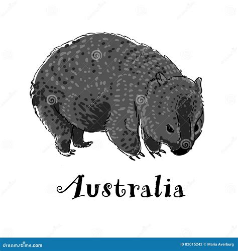 Wombat Icon Trendy Wombat Logo Concept On White Background From Vector