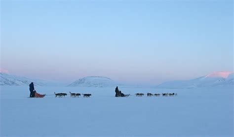 Husky Slider Dog Sledding Tour Svalbard Villmarkssenter Dog