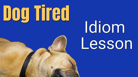 Dog Tired Idiom Meaning English Expression Videos Youtube