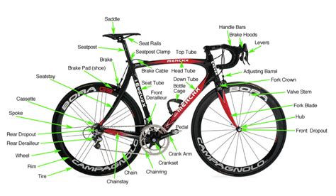 They help you put your bike to good use. Bicycle Buying Guide for Beginners - Road Bicycles